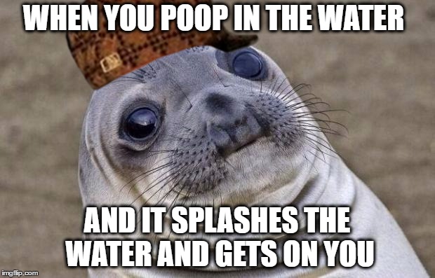 Awkward Moment Sealion Meme | WHEN YOU POOP IN THE WATER; AND IT SPLASHES THE WATER AND GETS ON YOU | image tagged in memes,awkward moment sealion,scumbag | made w/ Imgflip meme maker