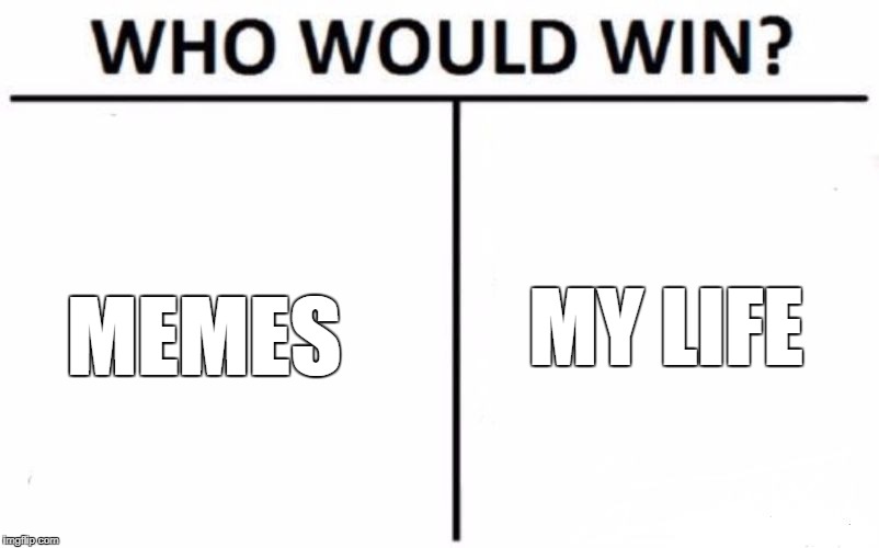 Who Would Win? | MY LIFE; MEMES | image tagged in memes,who would win | made w/ Imgflip meme maker