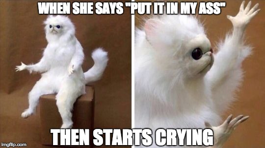 Wtf Cat | WHEN SHE SAYS "PUT IT IN MY ASS"; THEN STARTS CRYING | image tagged in wtf cat | made w/ Imgflip meme maker