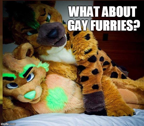 WHAT ABOUT GAY FURRIES? | made w/ Imgflip meme maker