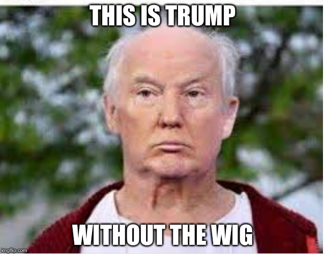 THIS IS TRUMP WITHOUT THE WIG | made w/ Imgflip meme maker