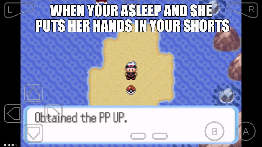 Pp up | WHEN YOUR ASLEEP AND SHE PUTS HER HANDS IN YOUR SHORTS | image tagged in pokemon,that's what she said | made w/ Imgflip meme maker