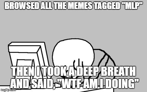 I dunno what happened... | BROWSED ALL THE MEMES TAGGED "MLP"; THEN I TOOK A DEEP BREATH AND SAID, "WTF AM I DOING" | image tagged in memes,computer guy facepalm,mlp,insane | made w/ Imgflip meme maker