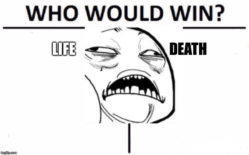 Who Would Win? Meme | LIFE; DEATH | image tagged in memes,who would win | made w/ Imgflip meme maker