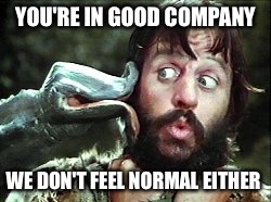 YOU'RE IN GOOD COMPANY WE DON'T FEEL NORMAL EITHER | made w/ Imgflip meme maker