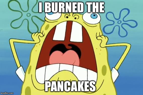 NOOO | I BURNED THE; PANCAKES | image tagged in nooo | made w/ Imgflip meme maker