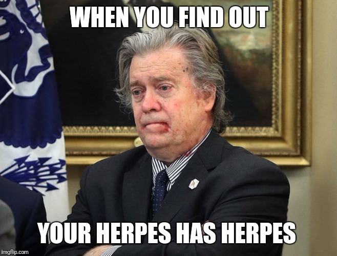 WHEN YOU FIND OUT; YOUR HERPES HAS HERPES | image tagged in bannon | made w/ Imgflip meme maker