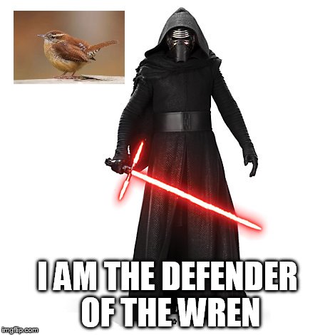 I AM THE DEFENDER OF THE WREN | image tagged in kylo ren,star wars | made w/ Imgflip meme maker