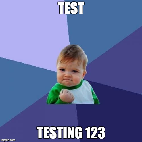 Success Kid Meme | TEST; TESTING 123 | image tagged in memes,success kid | made w/ Imgflip meme maker