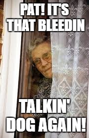 PAT! IT'S THAT BLEEDIN TALKIN' DOG AGAIN! | made w/ Imgflip meme maker