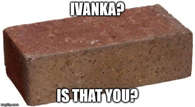 brick | IVANKA? IS THAT YOU? | image tagged in brick | made w/ Imgflip meme maker