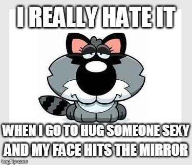 I should get out more I suppose... | I REALLY HATE IT; AND MY FACE HITS THE MIRROR; WHEN I GO TO HUG SOMEONE SEXY | image tagged in raccoon meme,hug someone sexy,i hate it when | made w/ Imgflip meme maker