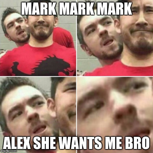Markiplier Stalker | MARK MARK MARK; ALEX SHE WANTS ME BRO | image tagged in markiplier stalker | made w/ Imgflip meme maker