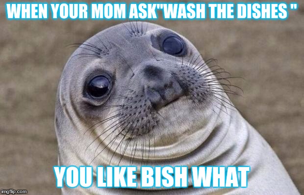 Awkward Moment Sealion Meme | WHEN YOUR MOM ASK"WASH THE DISHES
"; YOU LIKE BISH WHAT | image tagged in memes,awkward moment sealion | made w/ Imgflip meme maker
