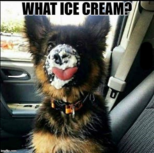 what ice cream | WHAT ICE CREAM? | image tagged in ice cream | made w/ Imgflip meme maker