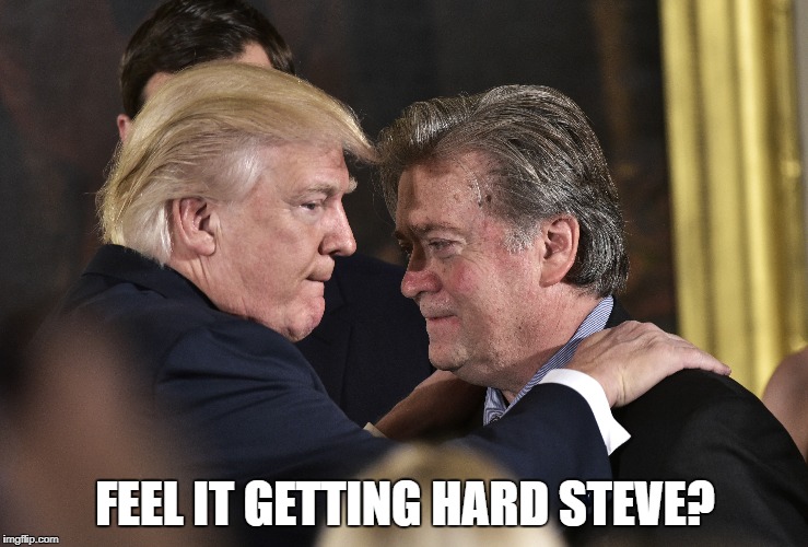 FEEL IT GETTING HARD STEVE? | image tagged in donald trump | made w/ Imgflip meme maker