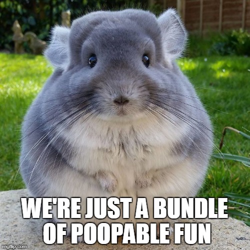 WE'RE JUST A BUNDLE OF POOPABLE FUN | made w/ Imgflip meme maker