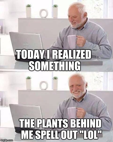 Hide the Pain Harold Meme | TODAY I REALIZED SOMETHING; THE PLANTS BEHIND ME SPELL OUT "LOL" | image tagged in memes,hide the pain harold | made w/ Imgflip meme maker