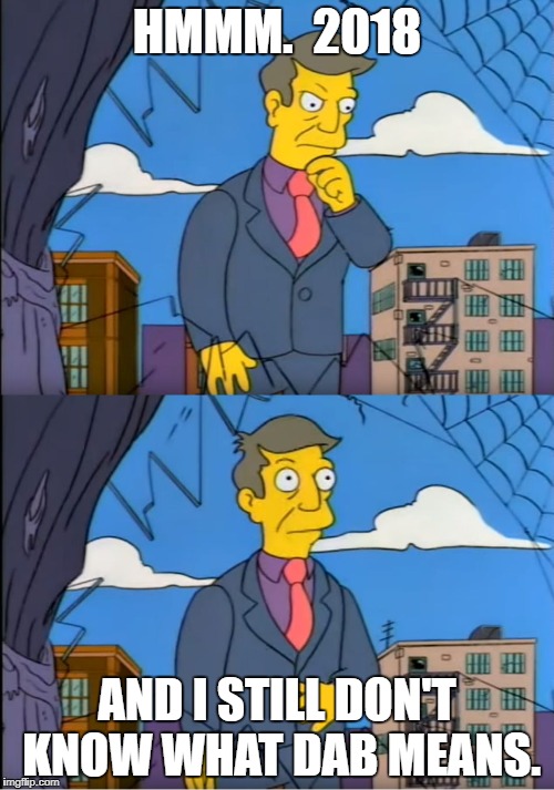 Skinner Out Of Touch | HMMM.  2018; AND I STILL DON'T KNOW WHAT DAB MEANS. | image tagged in skinner out of touch | made w/ Imgflip meme maker