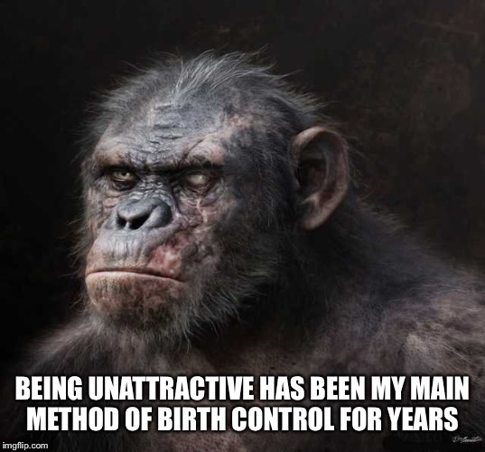 BEING UNATTRACTIVE HAS BEEN MY MAIN METHOD OF BIRTH CONTROL FOR YEARS | made w/ Imgflip meme maker