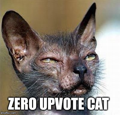 ZERO UPVOTE CAT | made w/ Imgflip meme maker
