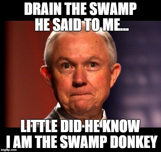 Jeff Sessions | DRAIN THE SWAMP HE SAID TO ME... LITTLE DID HE KNOW I AM THE SWAMP DONKEY | image tagged in jeff sessions | made w/ Imgflip meme maker