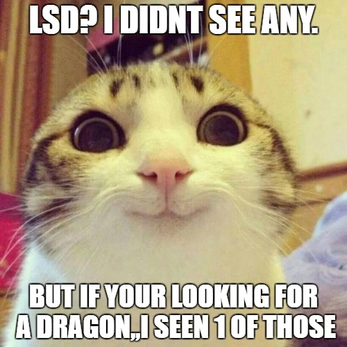 Smiling Cat |  LSD? I DIDNT SEE ANY. BUT IF YOUR LOOKING FOR A DRAGON,,I SEEN 1 OF THOSE | image tagged in memes,smiling cat | made w/ Imgflip meme maker