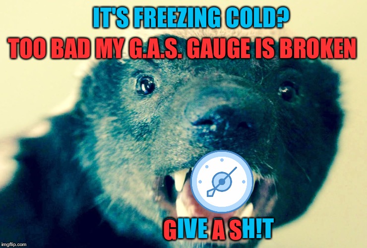 Honey Badger Don't Care | IT'S FREEZING COLD? TOO BAD MY G.A.S. GAUGE IS BROKEN; GIVE A SH!T; G        A S | image tagged in gas meter,honey badger,freezing,winter storm,snow | made w/ Imgflip meme maker