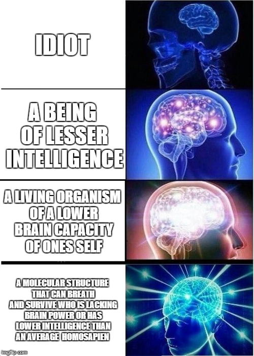 Wow how an insult can go much further | IDIOT; A BEING OF LESSER INTELLIGENCE; A LIVING ORGANISM OF A LOWER BRAIN CAPACITY OF ONES SELF; A MOLECULAR STRUCTURE THAT CAN BREATH AND SURVIVE WHO IS LACKING BRAIN POWER OR HAS LOWER INTELLIGENCE THAN AN AVERAGE 
HOMOSAPIEN | image tagged in memes,expanding brain,insult,intelligence | made w/ Imgflip meme maker