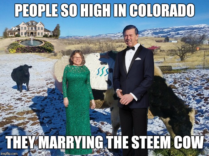 PEOPLE SO HIGH IN COLORADO; THEY MARRYING THE STEEM COW | made w/ Imgflip meme maker