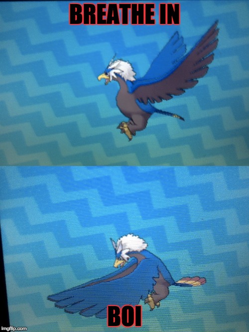 Braviary breathe in boi funny pokemon ultra sun and moon meme | BREATHE IN; BOI | image tagged in pokemon sun and moon,breathe,funny,memes,funny memes,too funny | made w/ Imgflip meme maker