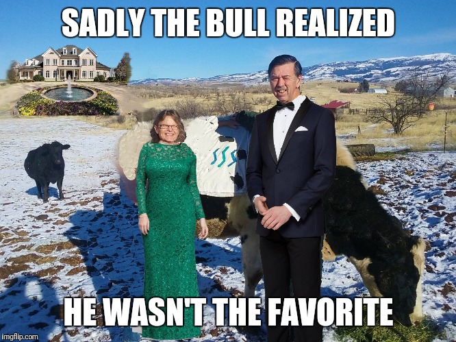 SADLY THE BULL REALIZED; HE WASN'T THE FAVORITE | made w/ Imgflip meme maker