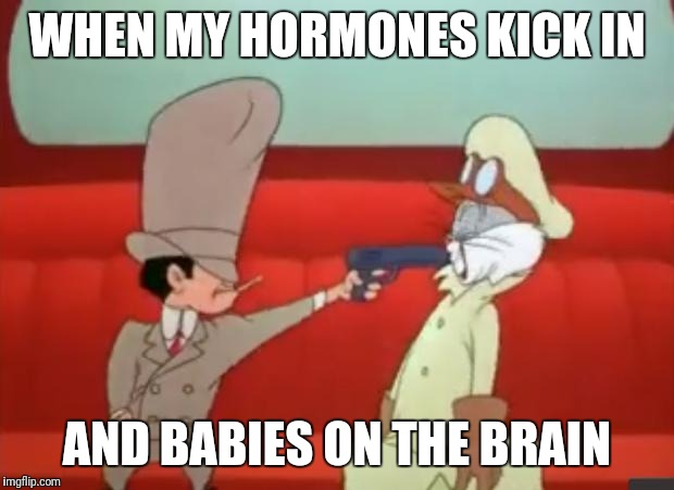 shut up | WHEN MY HORMONES KICK IN; AND BABIES ON THE BRAIN | image tagged in shut up | made w/ Imgflip meme maker