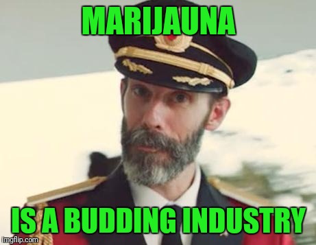 Captain Obvious | MARIJAUNA; IS A BUDDING INDUSTRY | image tagged in captain obvious | made w/ Imgflip meme maker