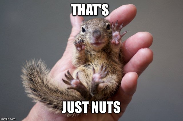 THAT'S JUST NUTS | made w/ Imgflip meme maker