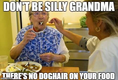 DON'T BE SILLY GRANDMA THERE'S NO DOGHAIR ON YOUR FOOD | made w/ Imgflip meme maker