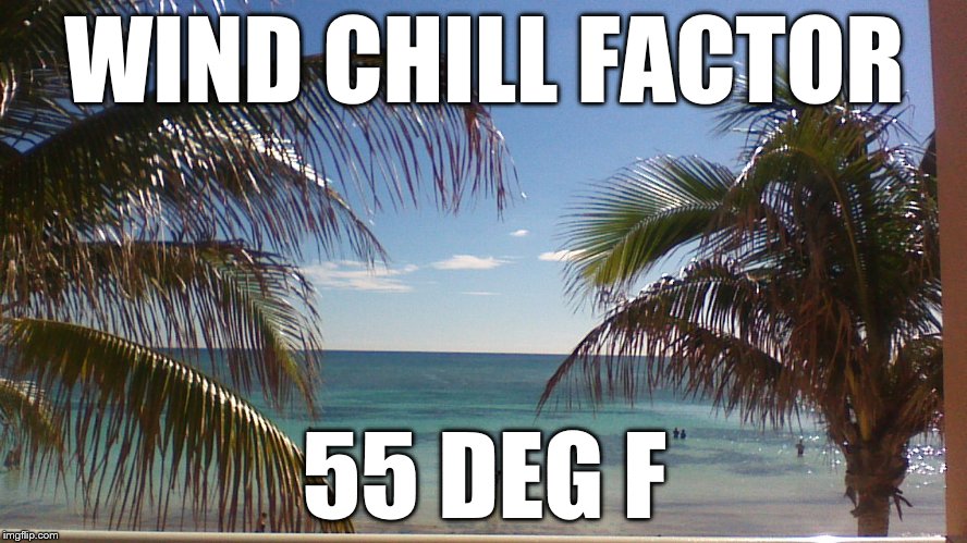 Its cold in the bahamas | WIND CHILL FACTOR; 55 DEG F | image tagged in vacation,chilly | made w/ Imgflip meme maker
