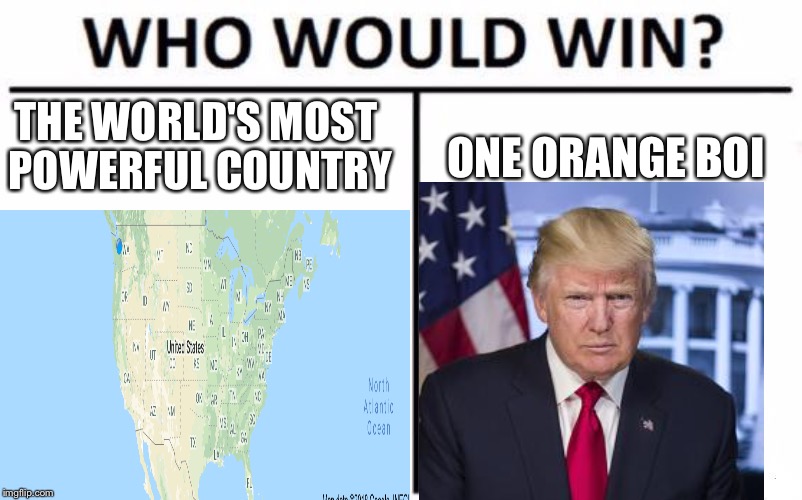 THE WORLD'S MOST POWERFUL COUNTRY; ONE ORANGE BOI | image tagged in who would win,donald trump,usa | made w/ Imgflip meme maker
