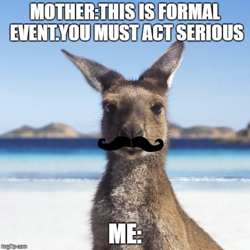 Everytime | MOTHER:THIS IS FORMAL EVENT.YOU MUST ACT SERIOUS; ME: | image tagged in meme,memes,funny,funny memes,animals,family | made w/ Imgflip meme maker