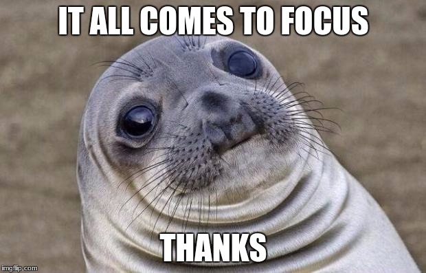 Awkward Moment Sealion Meme | IT ALL COMES TO FOCUS THANKS | image tagged in memes,awkward moment sealion | made w/ Imgflip meme maker