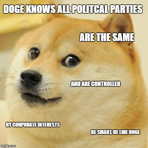 Doge Meme | DOGE KNOWS ALL POLITCAL PARTIES; ARE THE SAME; AND ARE CONTROLLED; BY CORPORATE INTERESTS; BE SMART, BE LIKE DOGE | image tagged in memes,doge | made w/ Imgflip meme maker
