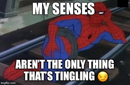 Sexy Railroad Spiderman Meme | MY SENSES; AREN’T THE ONLY THING THAT’S TINGLING 😏 | image tagged in memes,sexy railroad spiderman,spiderman | made w/ Imgflip meme maker