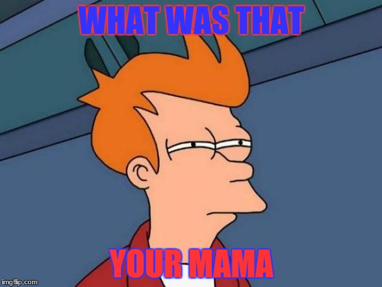 Futurama Fry Meme | WHAT WAS THAT; YOUR MAMA | image tagged in memes,futurama fry | made w/ Imgflip meme maker