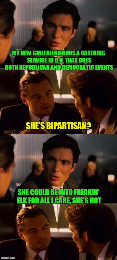 she'd likely get labelled a freak one way or the other | MY NEW GIRLFRIEND RUNS A CATERING SERVICE IN D.C. THAT DOES BOTH REPUBLICAN AND DEMOCRATIC EVENTS; SHE'S BIPARTISAN? SHE COULD BE INTO FREAKIN' ELK FOR ALL I CARE, SHE'S HOT | image tagged in seasick inception,inception,memes,political,bad joke,girlfriend | made w/ Imgflip meme maker