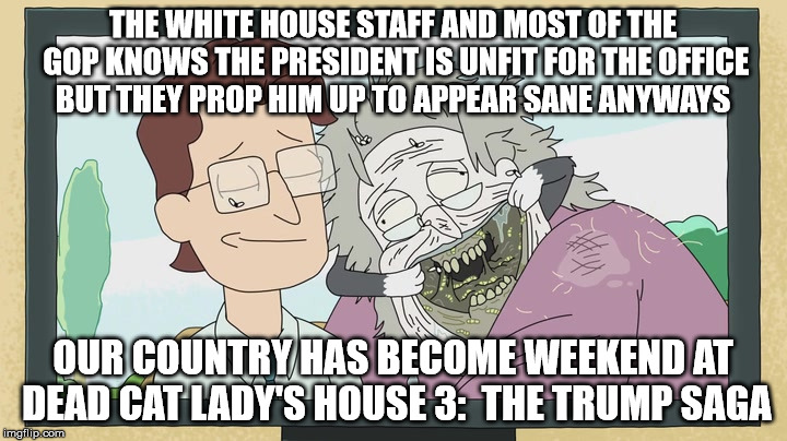 THE WHITE HOUSE STAFF AND MOST OF THE GOP KNOWS THE PRESIDENT IS UNFIT FOR THE OFFICE BUT THEY PROP HIM UP TO APPEAR SANE ANYWAYS; OUR COUNTRY HAS BECOME WEEKEND AT DEAD CAT LADY'S HOUSE 3:  THE TRUMP SAGA | made w/ Imgflip meme maker