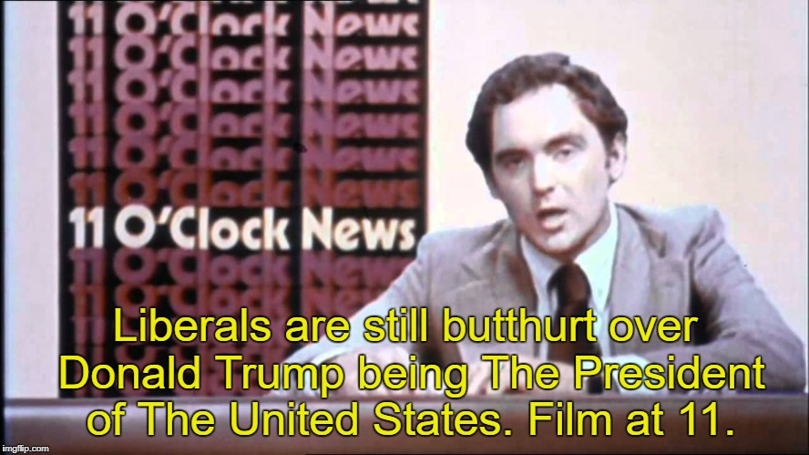 Pretty much  | Liberals are still butthurt over Donald Trump being The President of The United States. Film at 11. | image tagged in the kentucky fried memes,memes | made w/ Imgflip meme maker