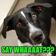 SAY WHAAAAT??? | made w/ Imgflip meme maker