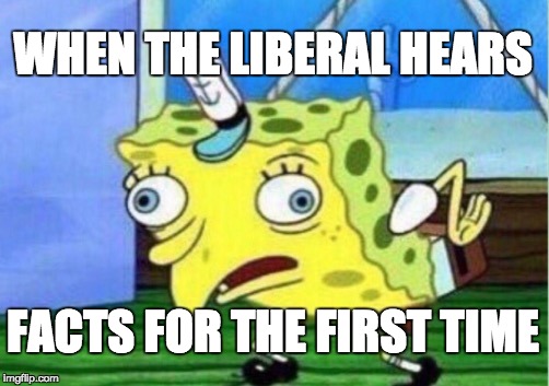 Mocking Spongebob | WHEN THE LIBERAL HEARS; FACTS FOR THE FIRST TIME | image tagged in memes,mocking spongebob | made w/ Imgflip meme maker