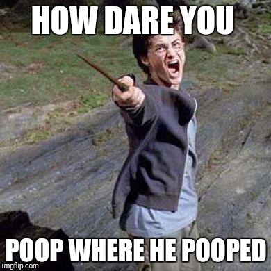 How dare you Harry | HOW DARE YOU; POOP WHERE HE POOPED | image tagged in harry potter,poop | made w/ Imgflip meme maker