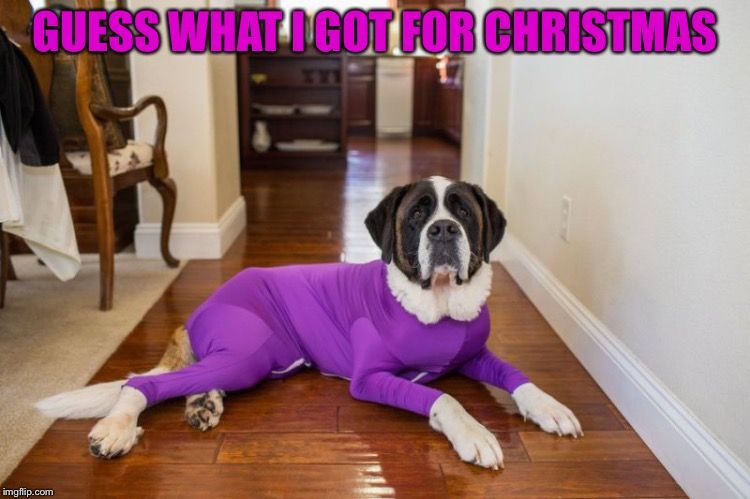 GUESS WHAT I GOT FOR CHRISTMAS | image tagged in yoga pants | made w/ Imgflip meme maker